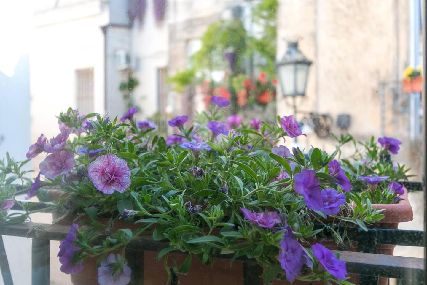 Caminanti Panzió Lecce Kültér fotó